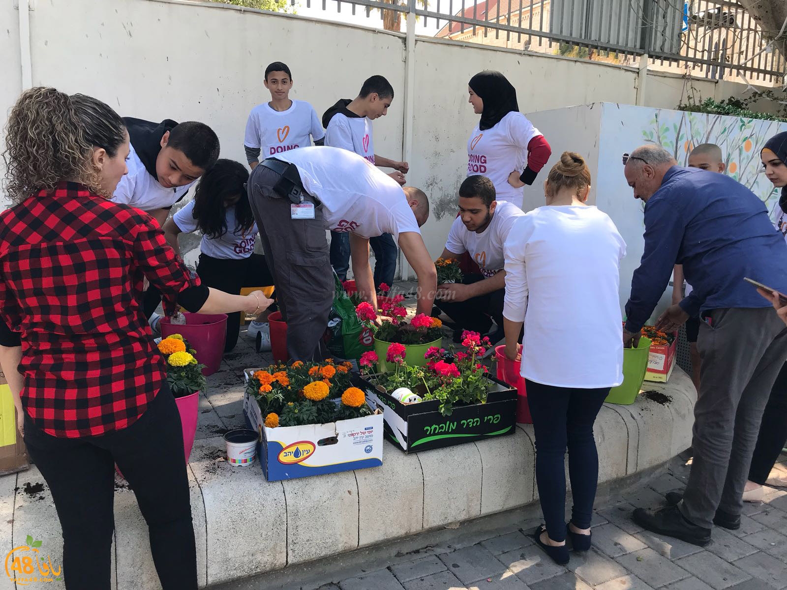 a3malkhayeret (20).jpg